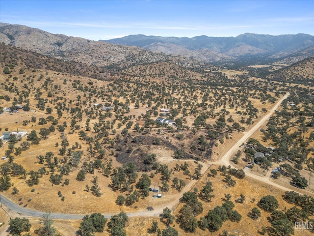 view of mountain feature