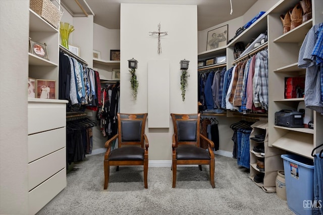 walk in closet with light colored carpet