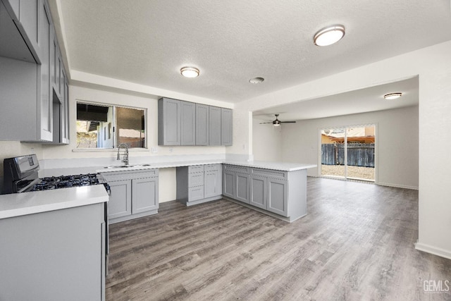 1009 Caroline Ct, Bakersfield, CA 93307 - photo 17