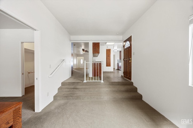 hallway with carpet floors