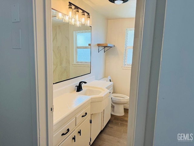 bathroom featuring toilet, wood finished floors, and vanity