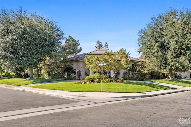 view of property hidden behind natural elements with a front lawn