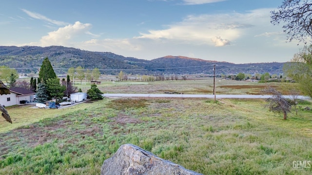 29021 N Lower Valley Rd, Tehachapi, CA 93561 - photo 10