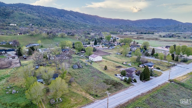 29021 N Lower Valley Rd, Tehachapi, CA 93561 - photo 5