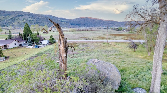 29021 N Lower Valley Rd, Tehachapi, CA 93561 - photo 9