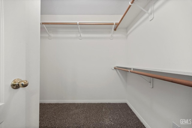 spacious closet featuring carpet
