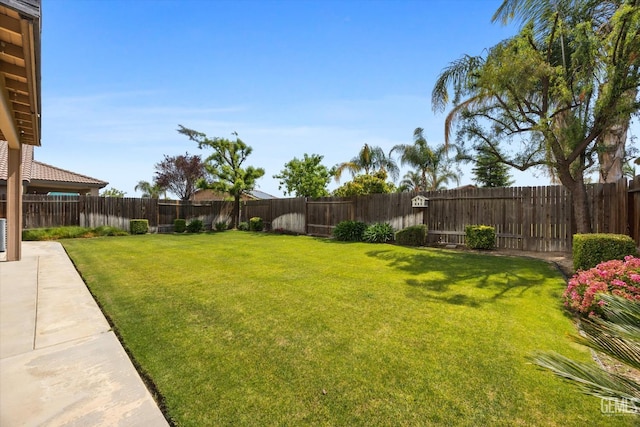 view of yard with a fenced backyard and a patio area