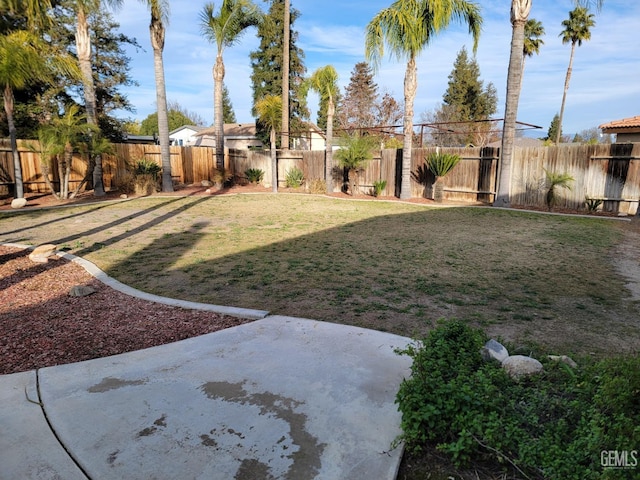 view of yard featuring a patio area