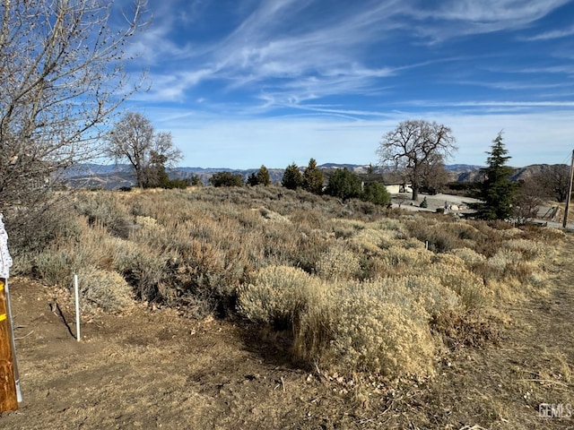 25160 Jacaranda Dr, Tehachapi CA, 93561 land for sale