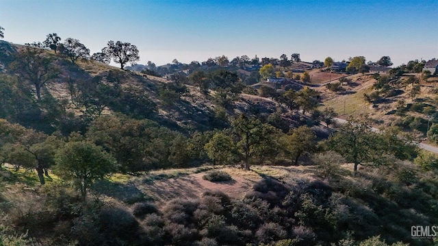 18780 Jacks Hill Rd, Tehachapi CA, 93561 land for sale