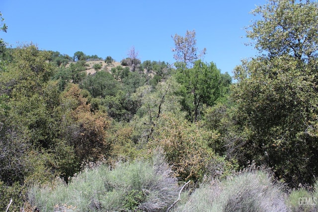 0 Owls Clover, Caliente CA, 93518 land for sale