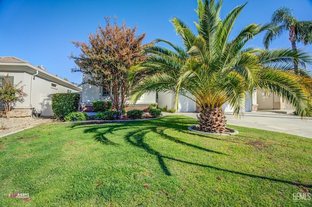 view of front facade featuring a front yard