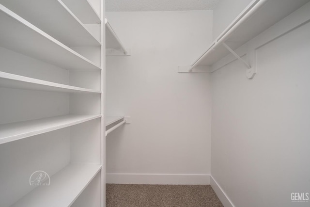 walk in closet featuring carpet floors