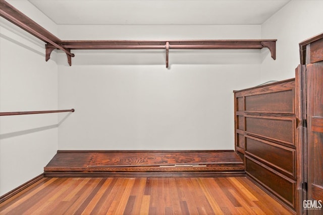 spacious closet featuring light wood-type flooring