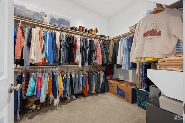 9003 Del Palma Dr, Bakersfield, CA 93314 - spacious closet with carpet flooring