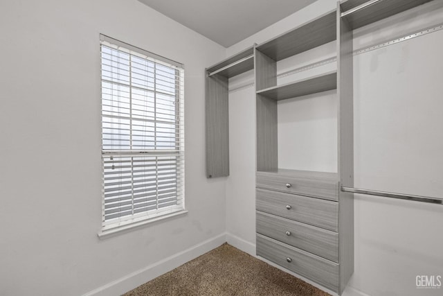 walk in closet featuring carpet