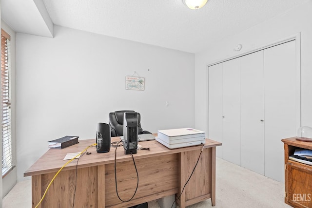 home office with a textured ceiling and light colored carpet