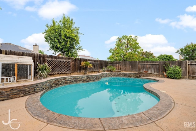 view of pool featuring a fenced backyard, a patio area, and a fenced in pool