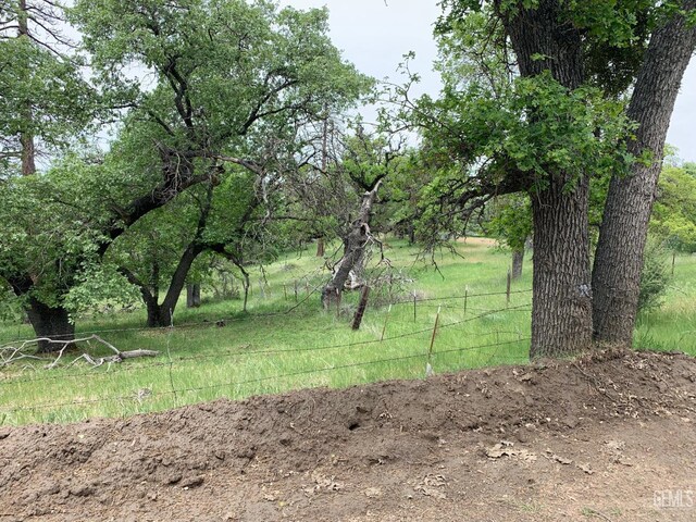 0 Rancheria Rd, Bakersfield, CA 93306 - view of yard