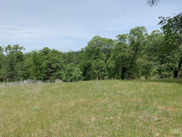 0 Rancheria Rd, Bakersfield, CA 93306 - view of nature