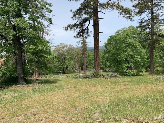 0 Rancheria Rd, Bakersfield, CA 93306 - view of wooded area