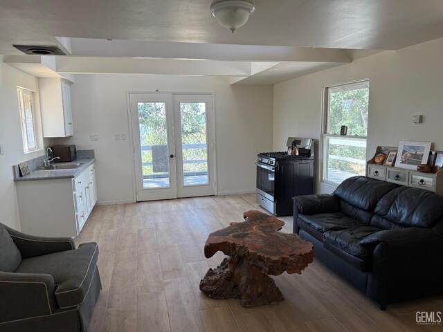 0 Rancheria Rd, Bakersfield, CA 93306 - living area featuring light wood-type flooring, plenty of natural light, and french doors