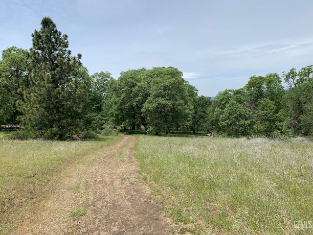 0 Rancheria Rd, Bakersfield, CA 93306 - view of woods