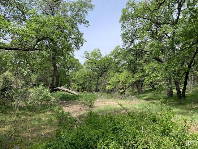 0 Rancheria Rd, Bakersfield, CA 93306 - view of woods
