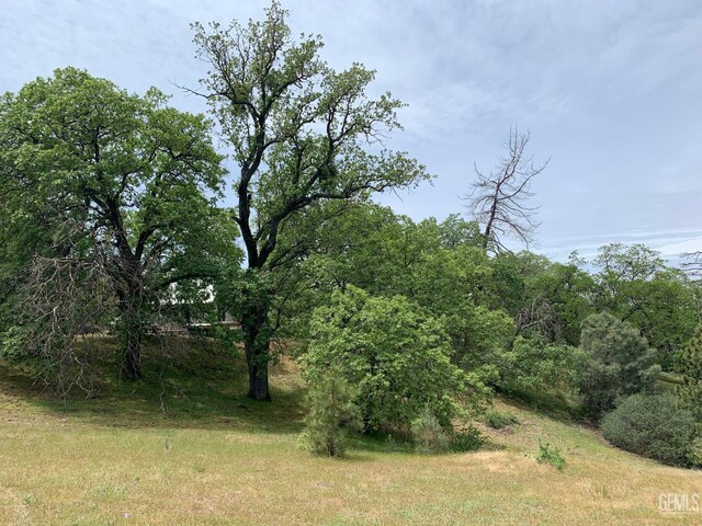 0 Rancheria Rd, Bakersfield, CA 93306 - view of local wilderness
