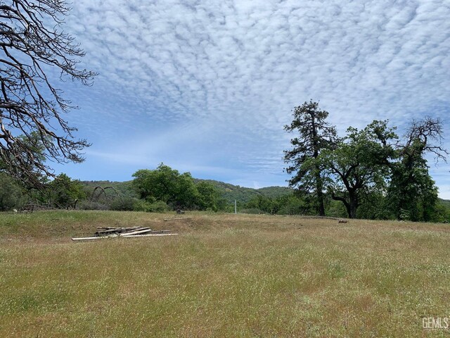 0 Rancheria Rd, Bakersfield, CA 93306 - view of yard