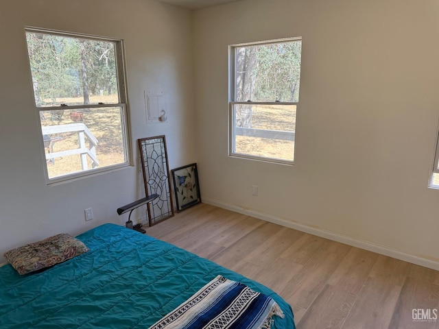 0 Rancheria Rd, Bakersfield, CA 93306 - bedroom with light wood-type flooring and multiple windows