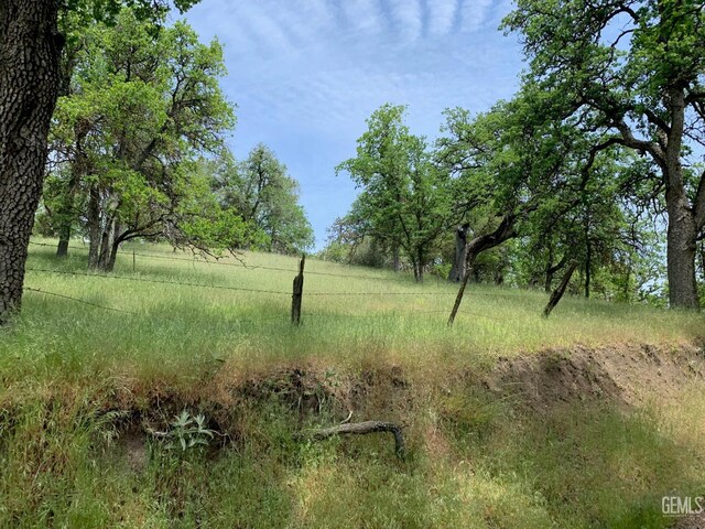 0 Rancheria Rd, Bakersfield, CA 93306 - view of yard