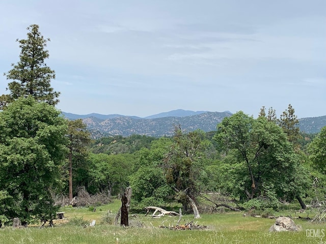 0 Rancheria Rd, Bakersfield, CA 93306 - view of mountain backdrop with a forest