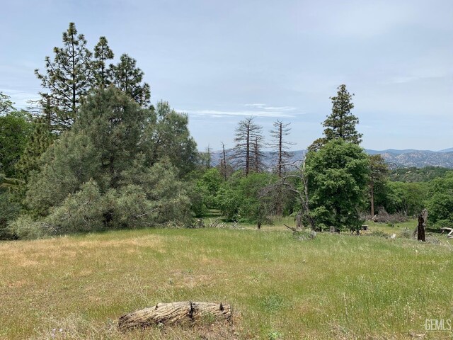 0 Rancheria Rd, Bakersfield, CA 93306 - view of local wilderness