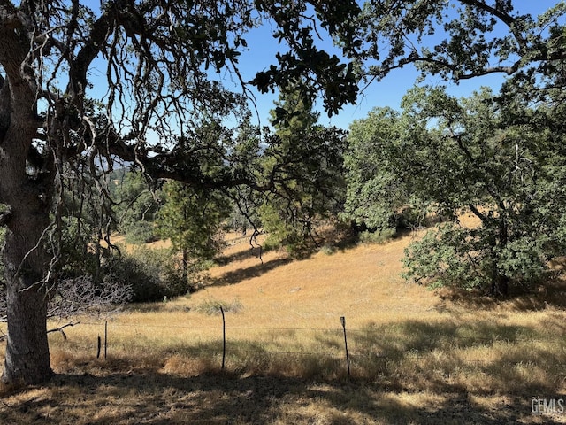 0 Rancheria Rd, Bakersfield, CA 93306 - view of local wilderness