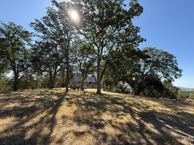 0 Rancheria Rd, Bakersfield, CA 93306 - view of yard