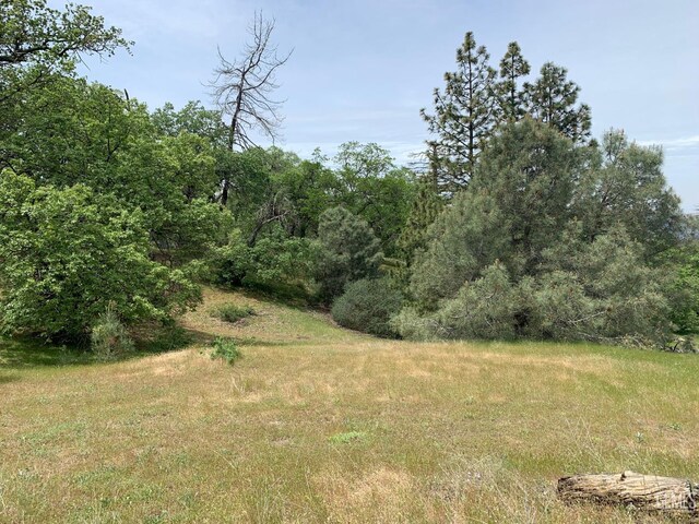 0 Rancheria Rd, Bakersfield, CA 93306 - view of nature