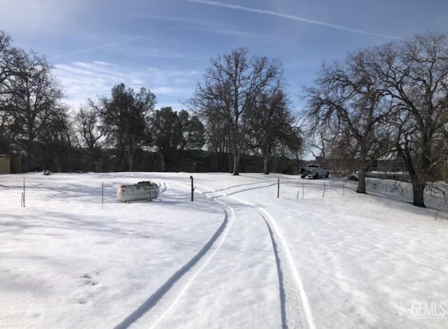 0 Rancheria Rd, Bakersfield, CA 93306 - view of yard covered in snow