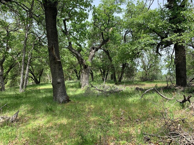 0 Rancheria Rd, Bakersfield, CA 93306 - view of nature