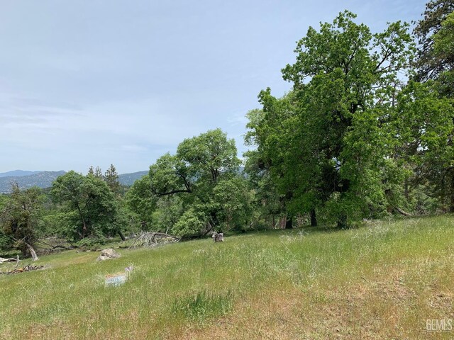 0 Rancheria Rd, Bakersfield, CA 93306 - view of yard