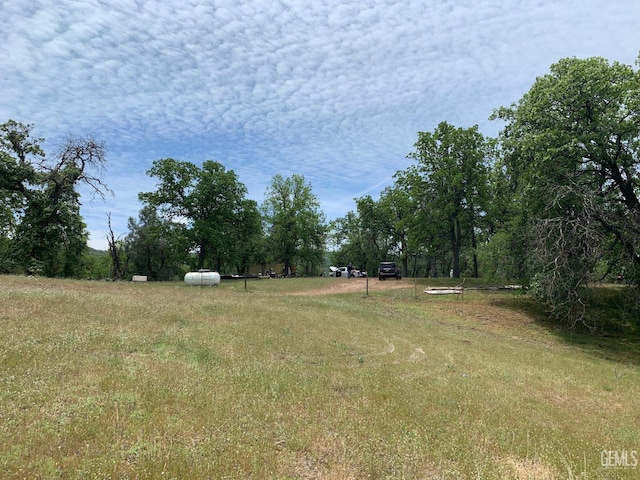 0 Rancheria Rd, Bakersfield, CA 93306 - view of yard