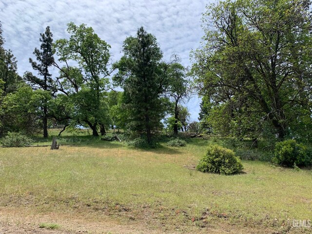 0 Rancheria Rd, Bakersfield, CA 93306 - view of yard