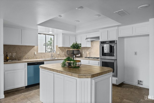 kitchen with a tray ceiling, appliances with stainless steel finishes, white cabinetry, a sink, and under cabinet range hood