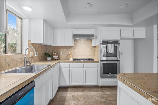 kitchen with under cabinet range hood, stainless steel appliances, a sink, and a raised ceiling