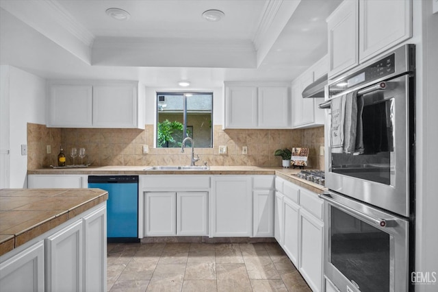 kitchen featuring a sink, stainless steel appliances, a raised ceiling, and white cabinetry