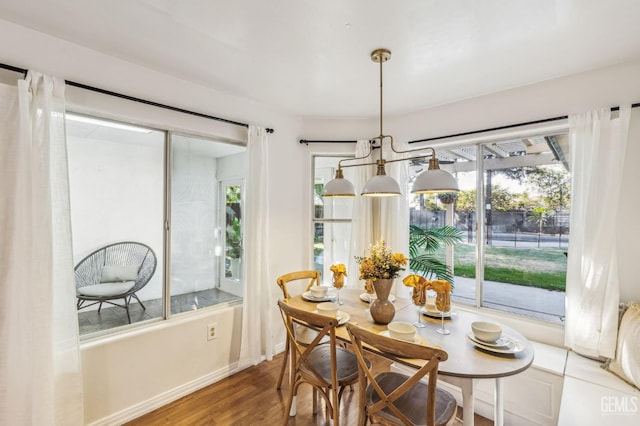 dining space with plenty of natural light and hardwood / wood-style flooring