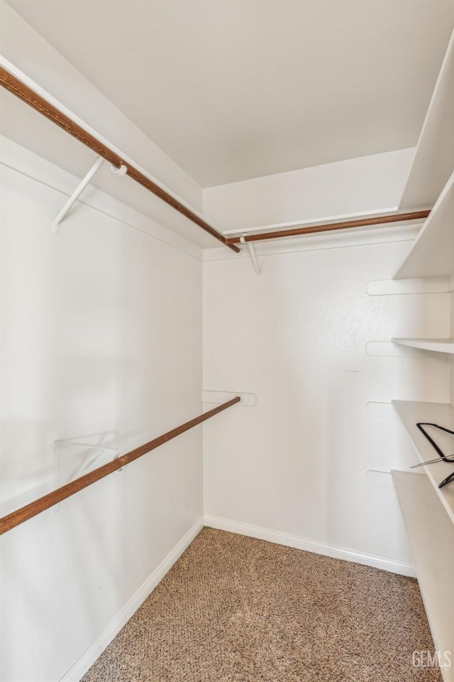 walk in closet featuring carpet floors