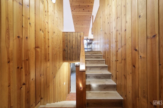 stairs with wooden ceiling and wood walls