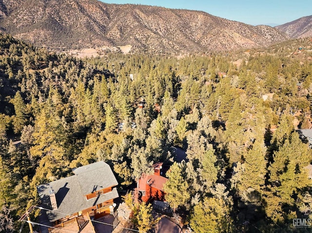 view of mountain feature