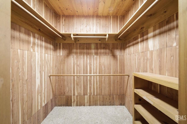 spacious closet with carpet floors